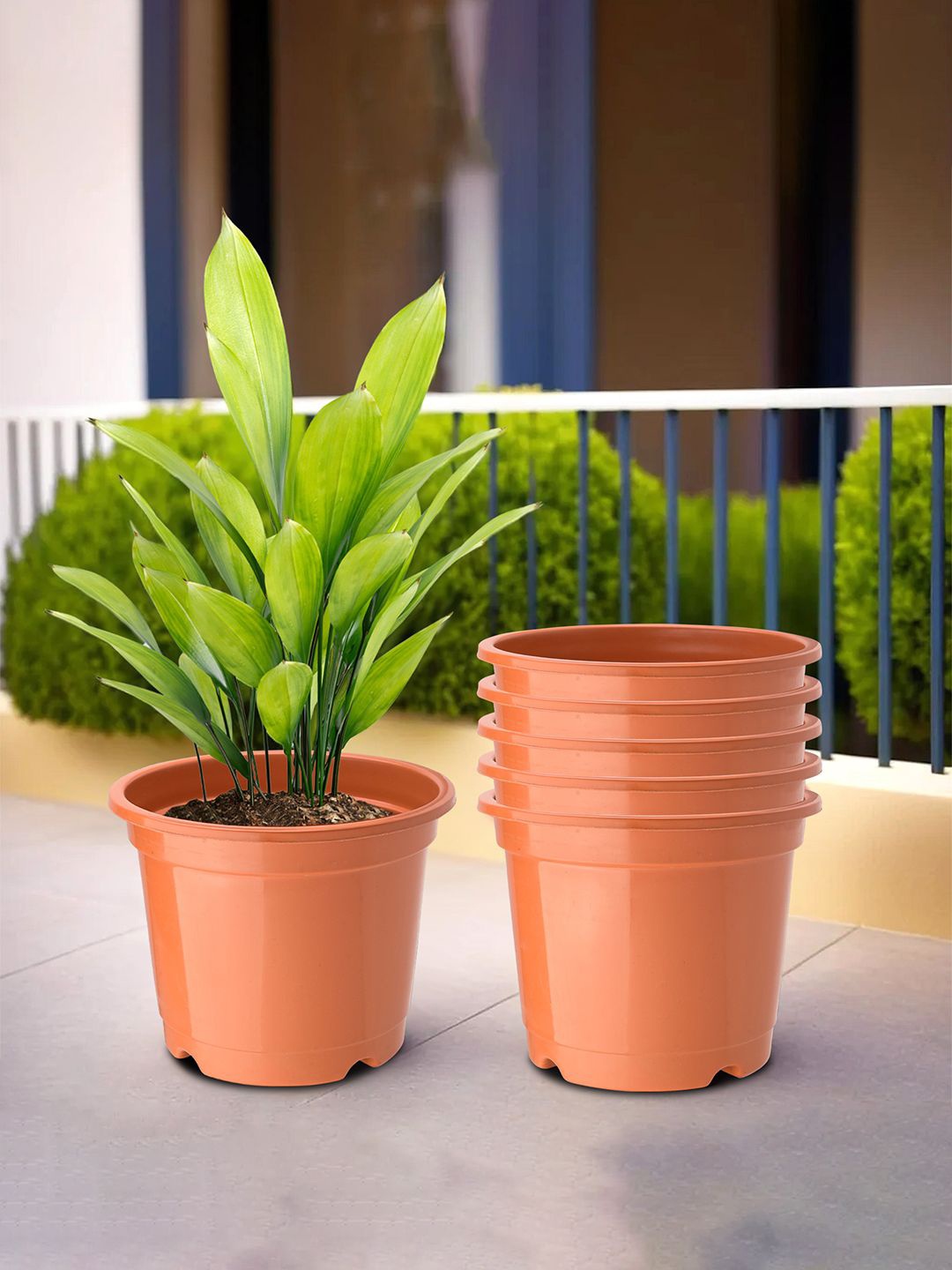 Kuber Industries Orange 6 Pieces Round Planters