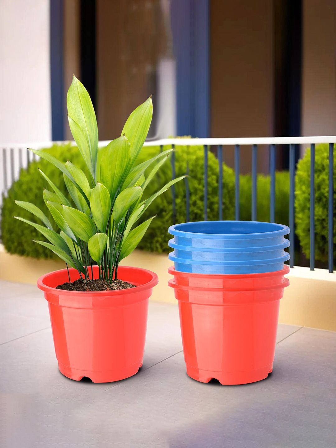 

Kuber Industries Red & Blue 6 Pieces Durable Planters