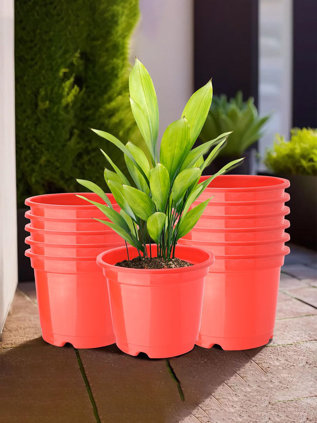 

Kuber Industries Red 12 Pieces Pieces Lightweight Planters