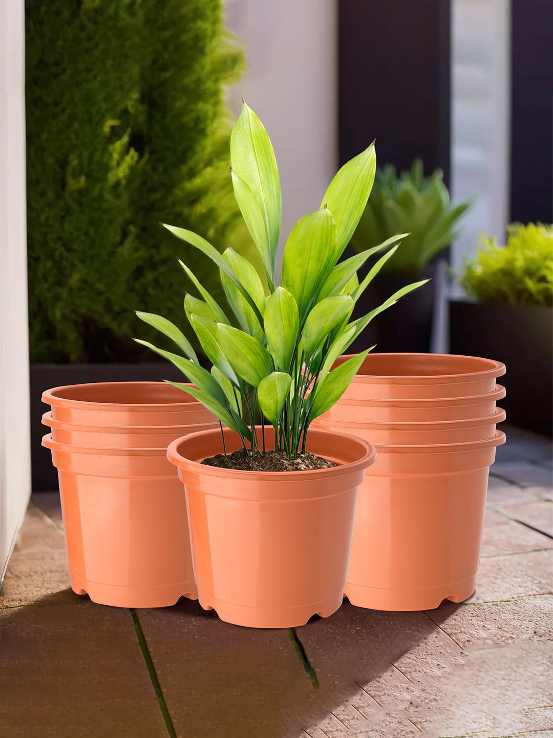 

Kuber Industries Orange 8 Pieces Round Planters