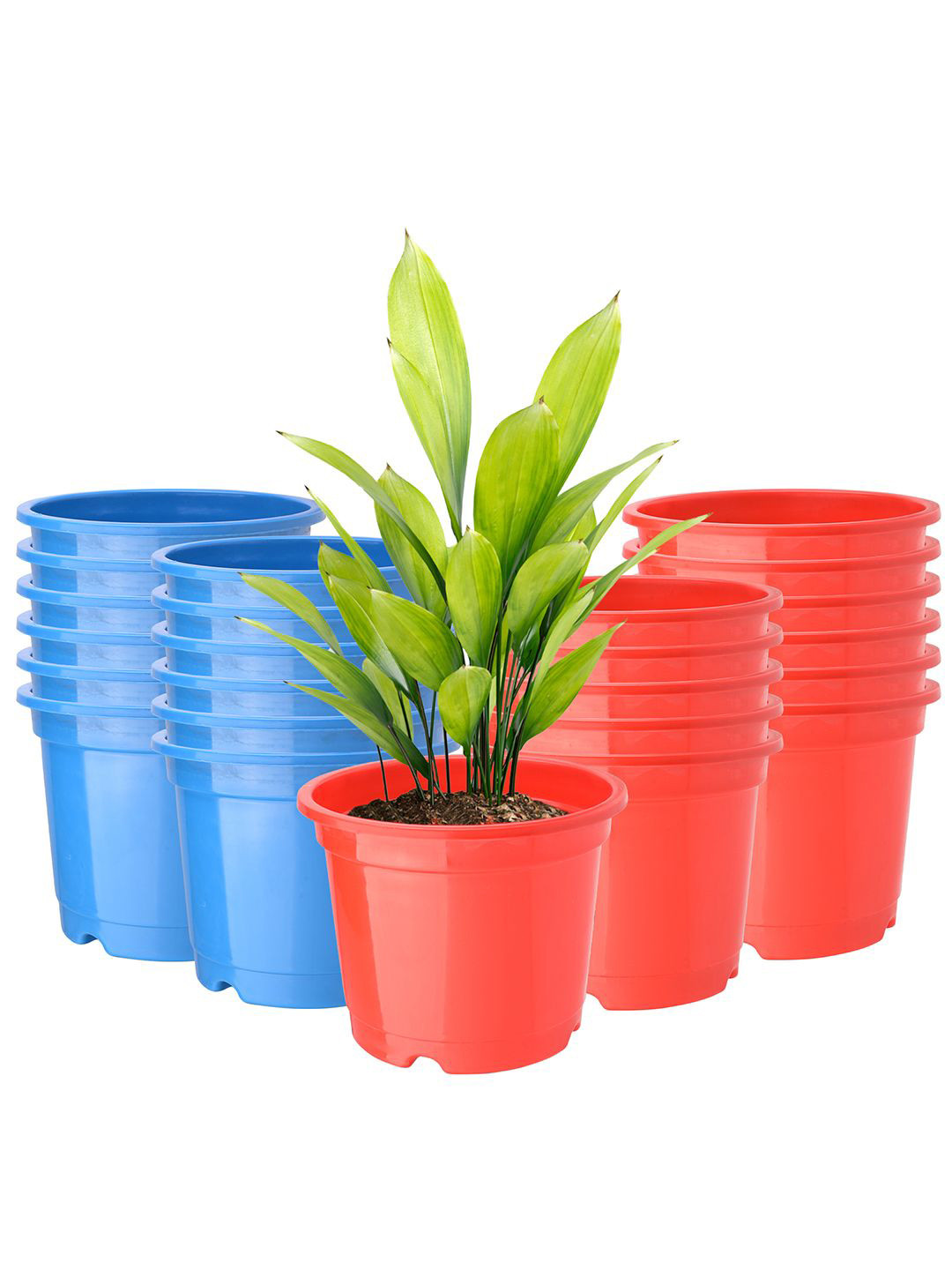 

Kuber Industries Red & Blue 24 Pieces Durable Round Planters