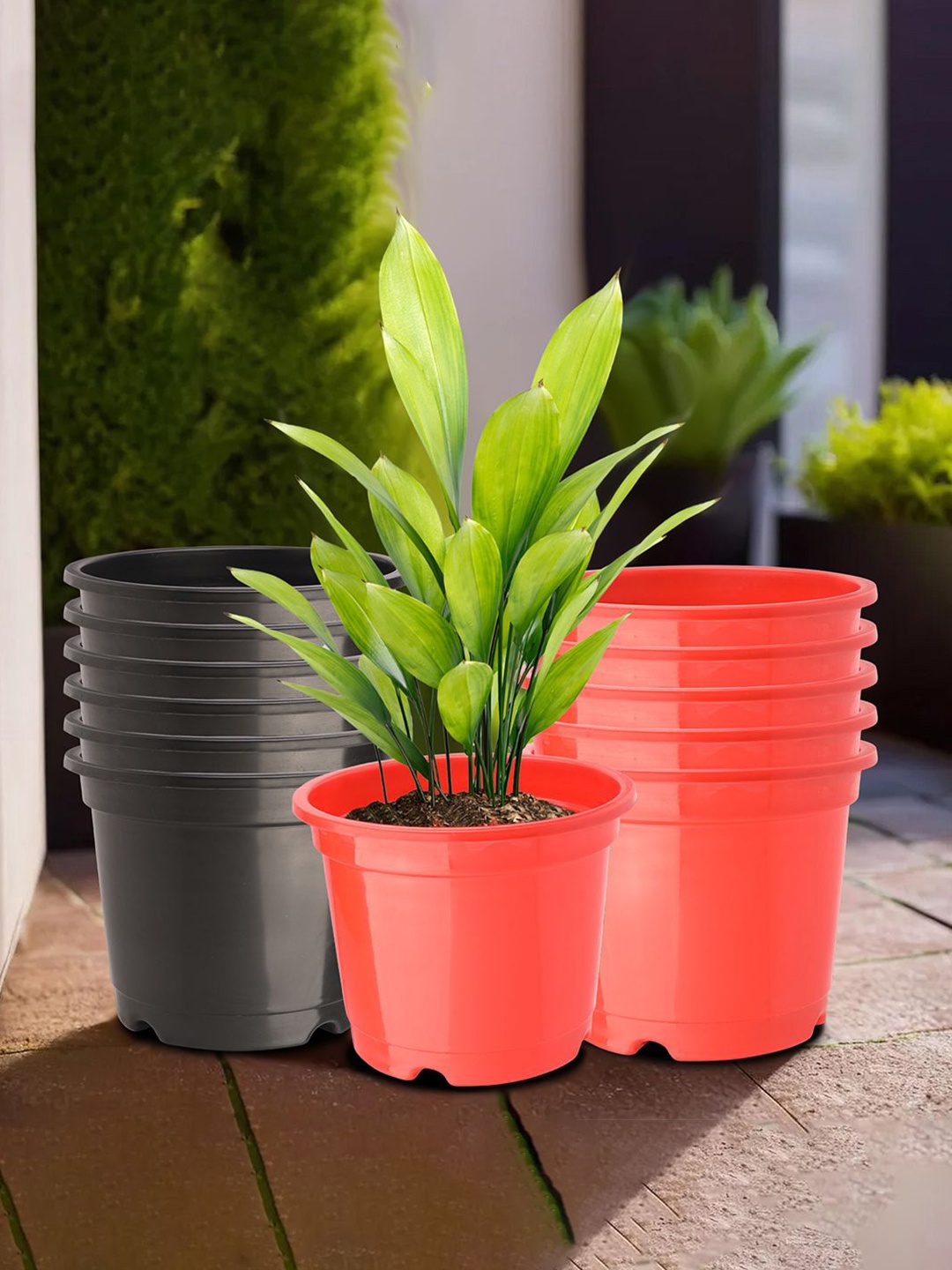 

Kuber Industries Red & Black 12 Pieces Durable Planters