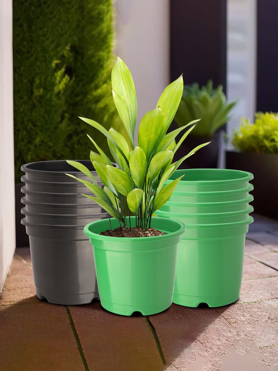 

Kuber Industries Green & Black 12 Pieces Durable Planters