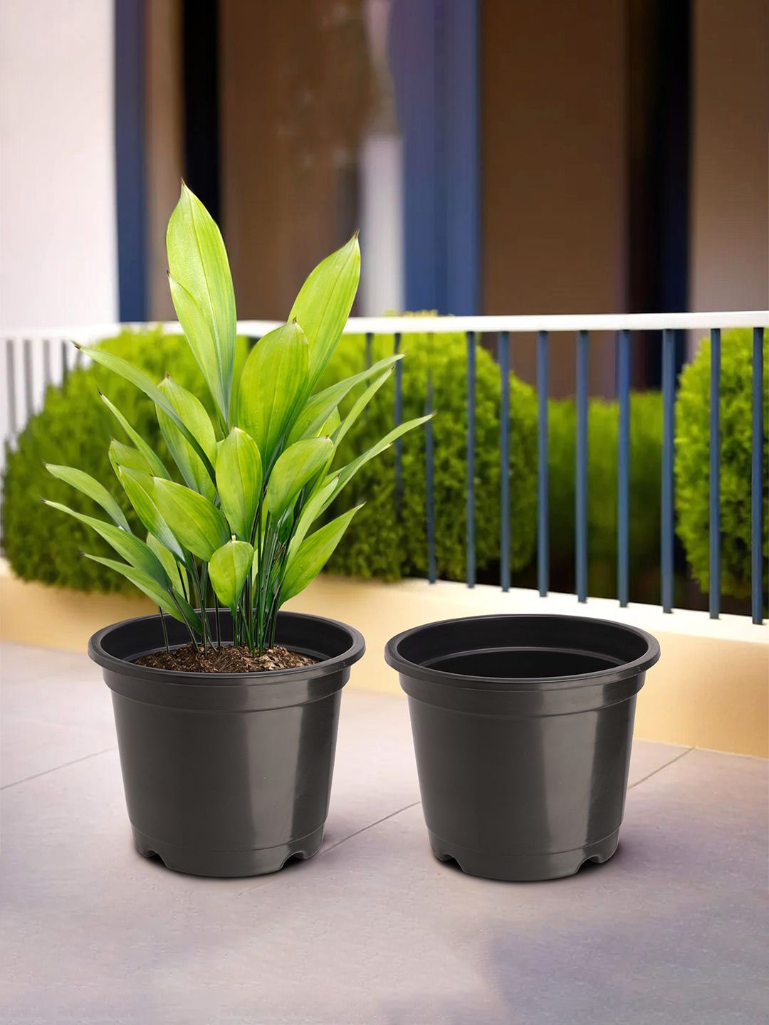 

Kuber Industries Black 2 Pieces Durable Planters
