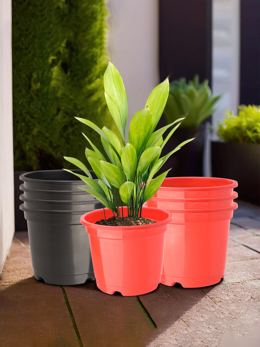

Kuber Industries Red & Black 8 Pieces Lightweight Phooldaan Planters
