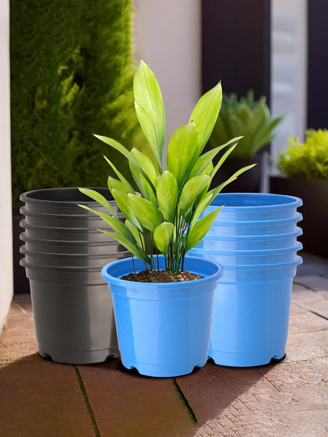 

Kuber Industries Blue & Black 12 Pieces Phooldaan Durable Planters