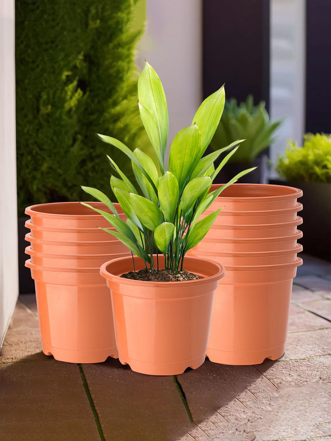 

Kuber Industries Orange 12 Pieces Planters