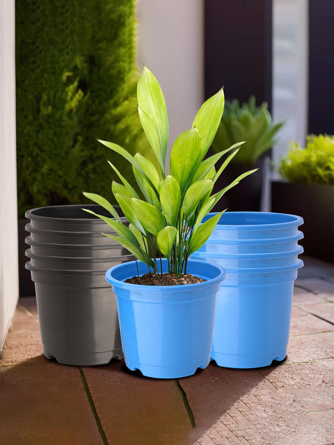 

Kuber Industries Blue & Black 10 Pieces Durable Planters