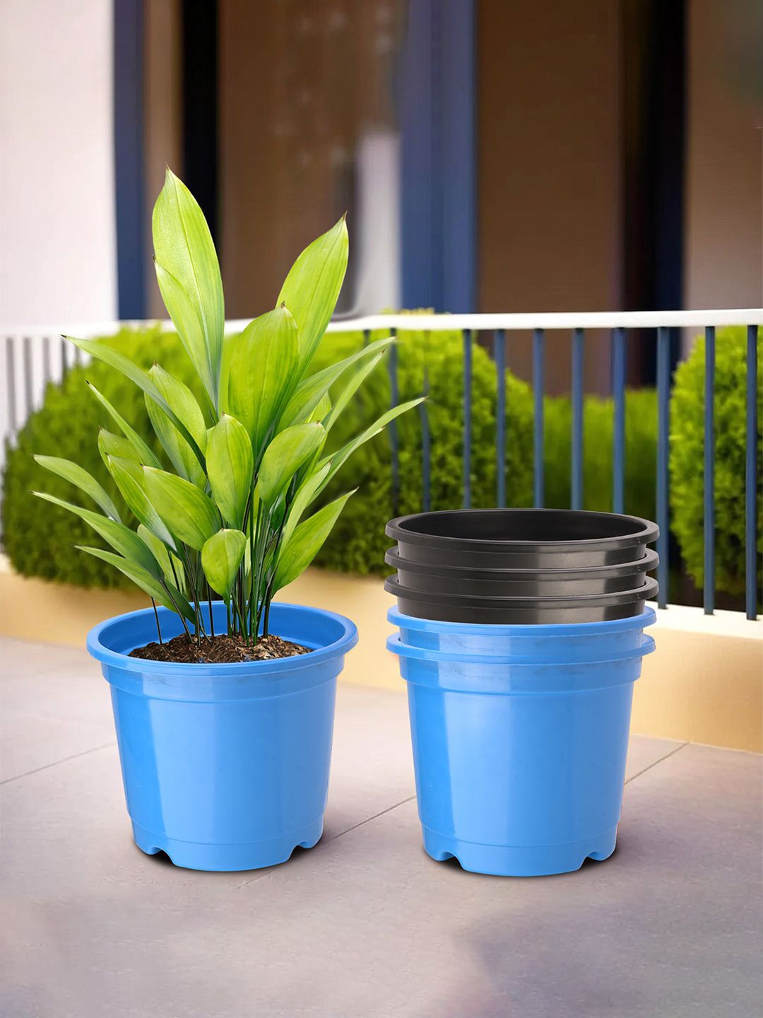 

Kuber Industries Black & Blue 6 Pieces Round Planters