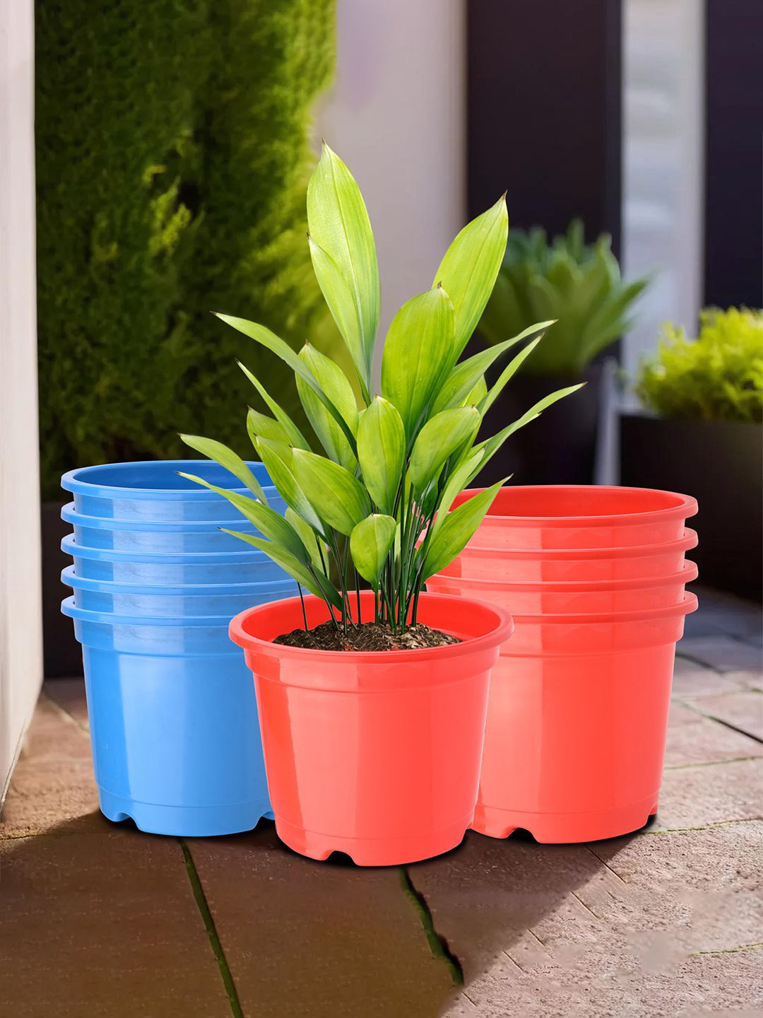 

Kuber Industries Blue & Red 10 Pieces Durable Planters