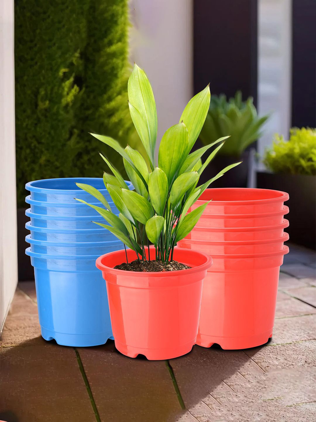 

Kuber Industries Red & Blue 12 Pieces Light weight Planters