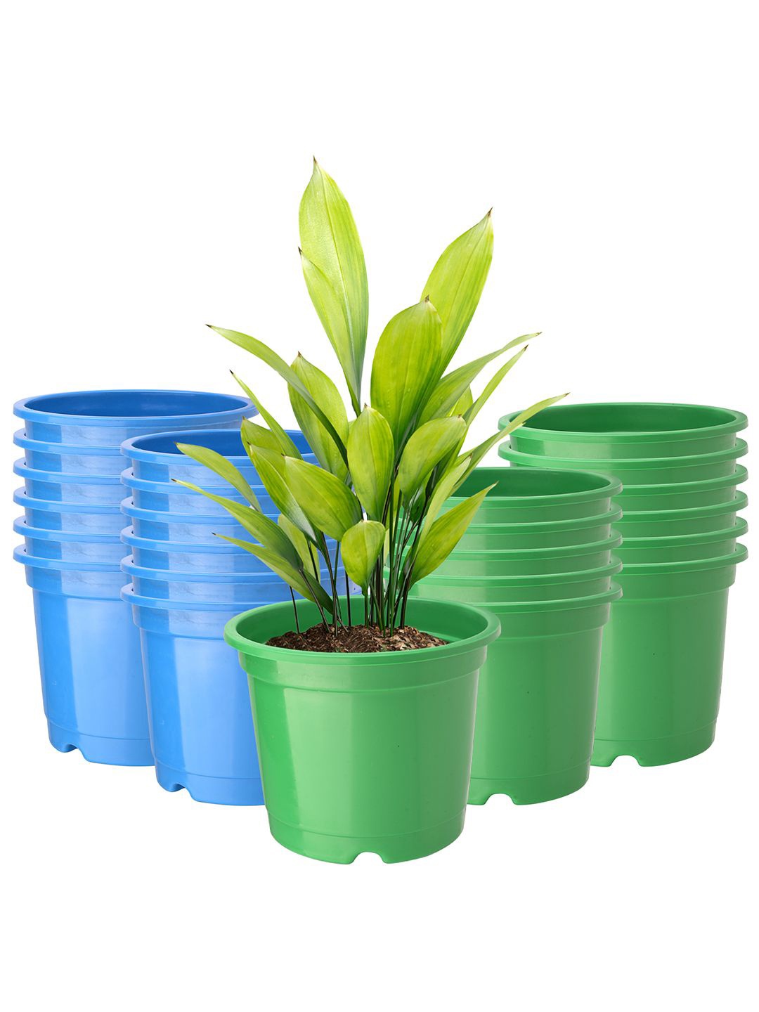 

Kuber Industries Green & Blue 24 Pieces Durable Planters