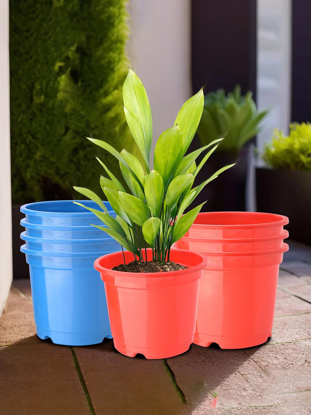 

Kuber Industries Red & Blue 8 Pieces Lightweight Planters