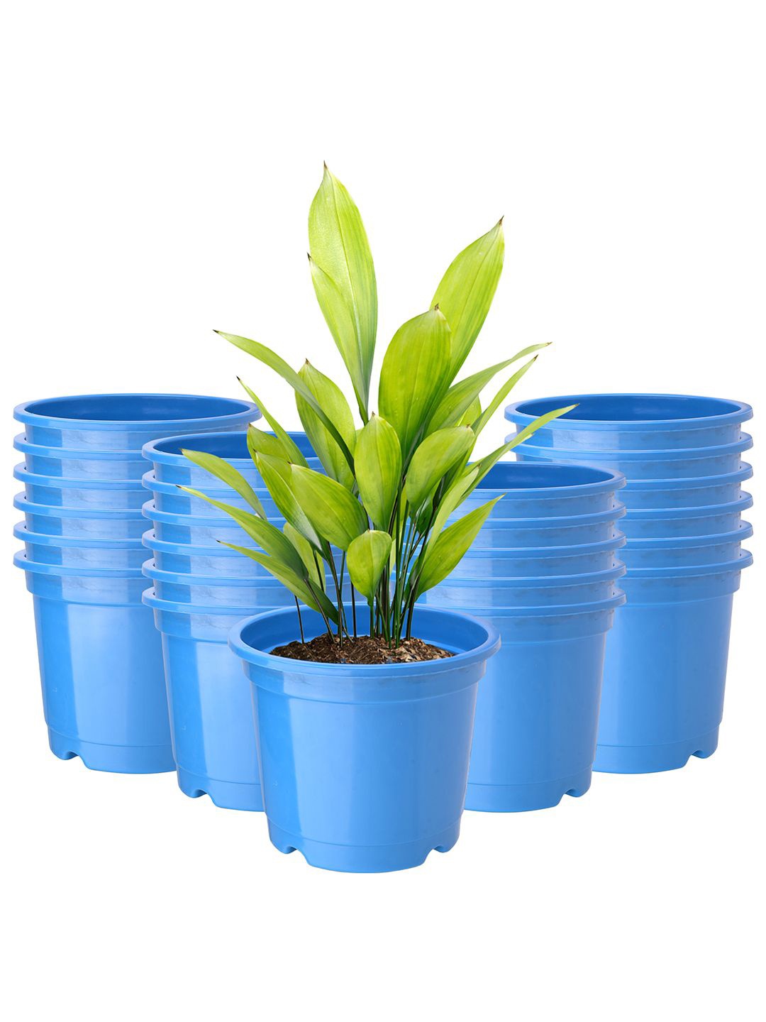 

Kuber Industries Blue 24 Pieces Durable Planters
