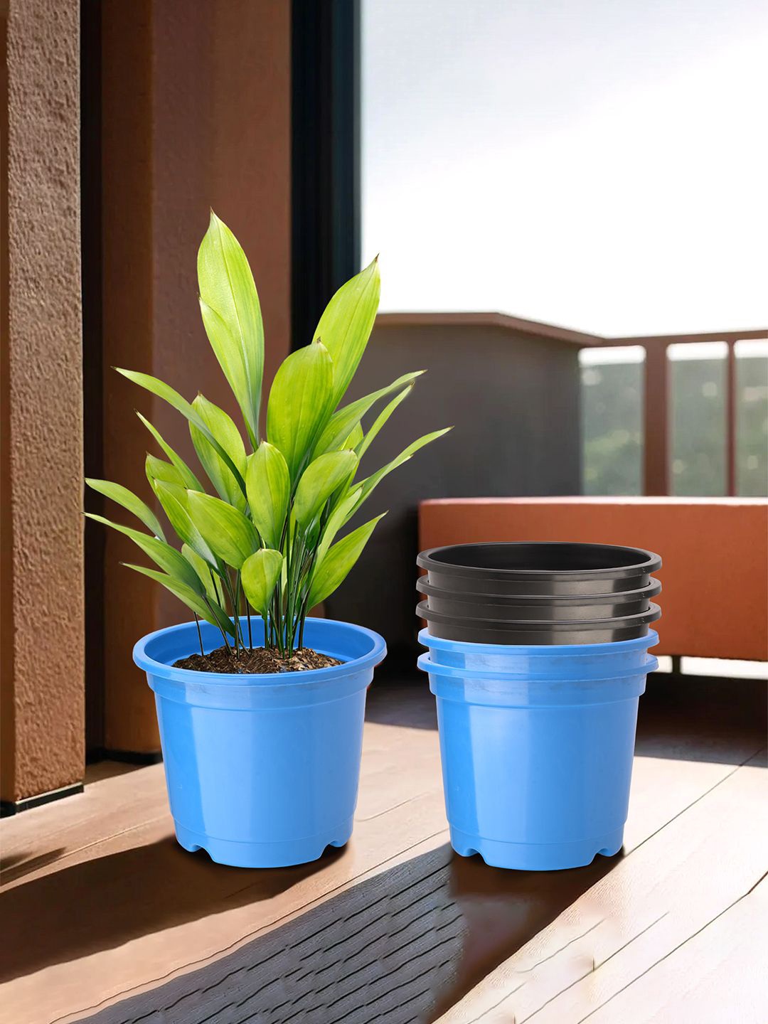 

Kuber Industries Black & Blue 6 Pieces Round Planters