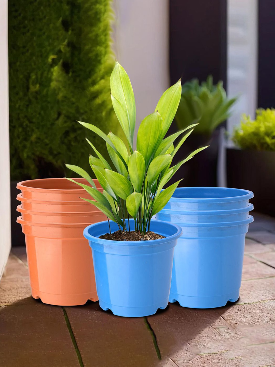 

Kuber Industries Blue & Orange 8 Pieces Durable Planters