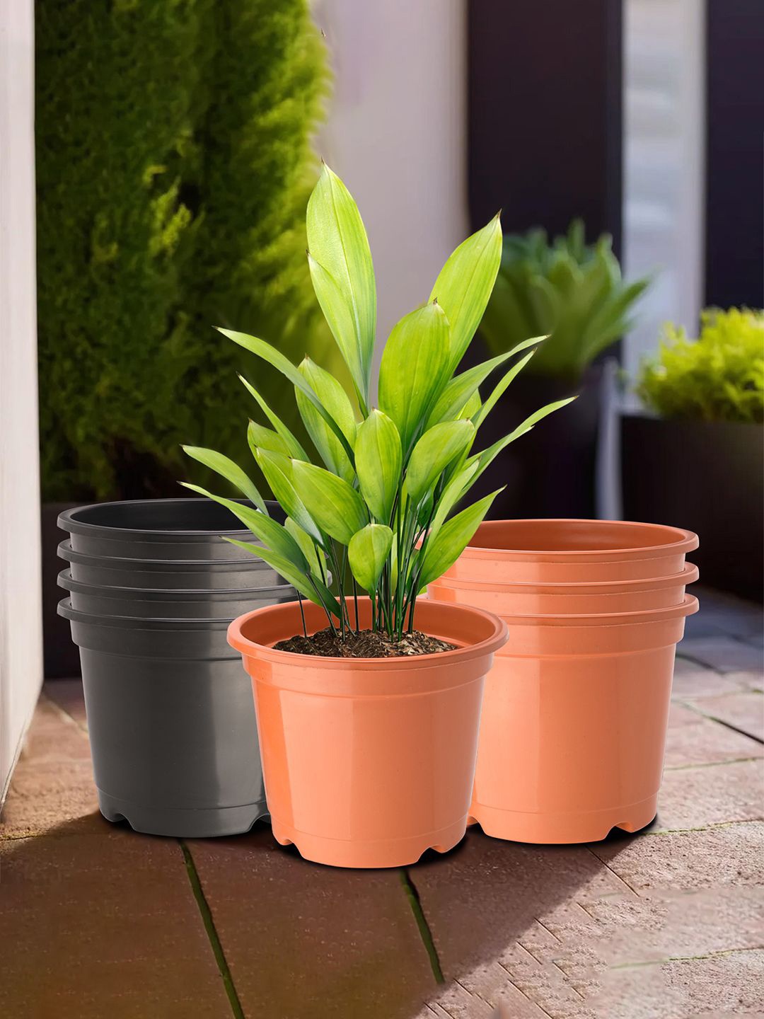 

Kuber Industries Orange & Black 8 Pieces Durable Planters
