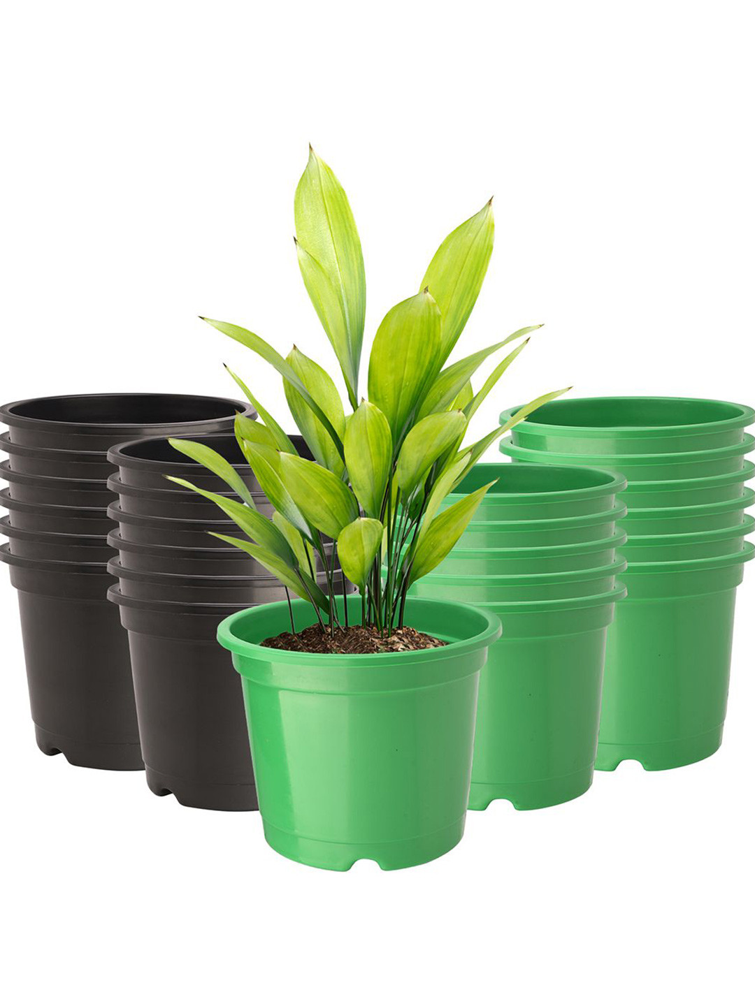 

Kuber Industries Green & Black 24 Pieces Planters