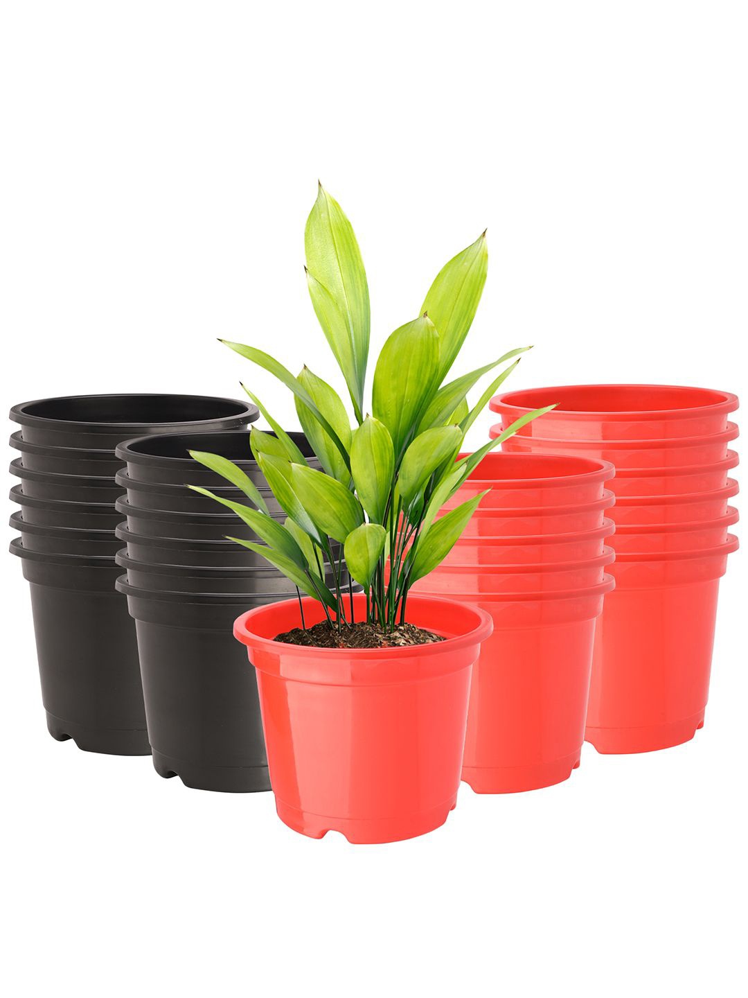 

Kuber Industries Red & Black 24 Pieces Planters