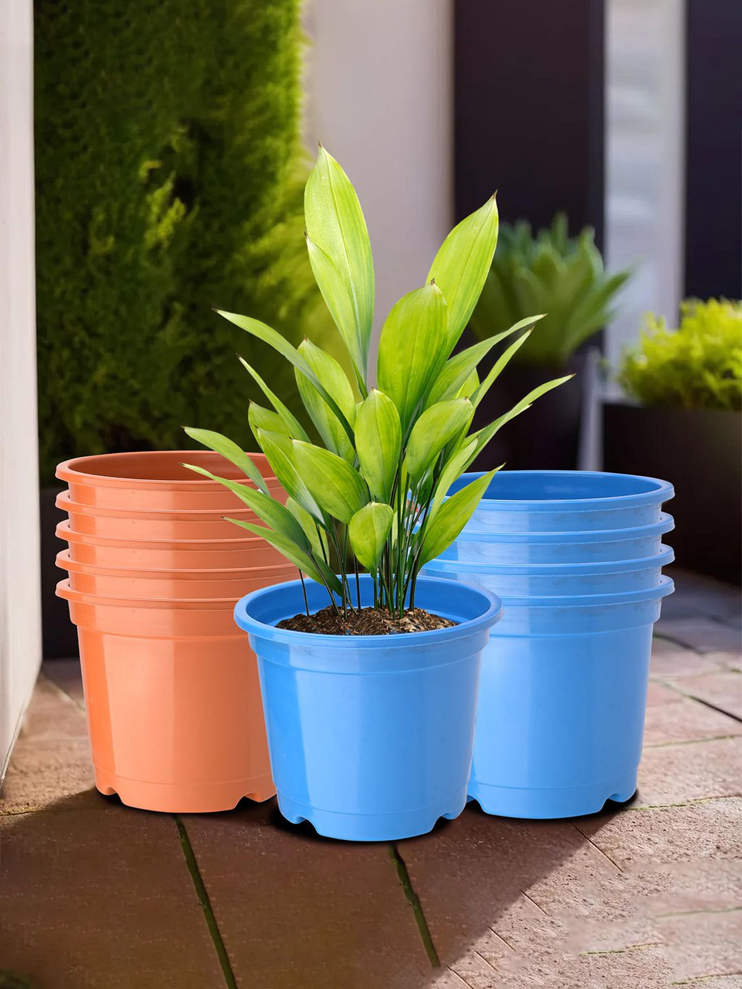 

Kuber Industries Blue & Orange 10 Pieces Planters