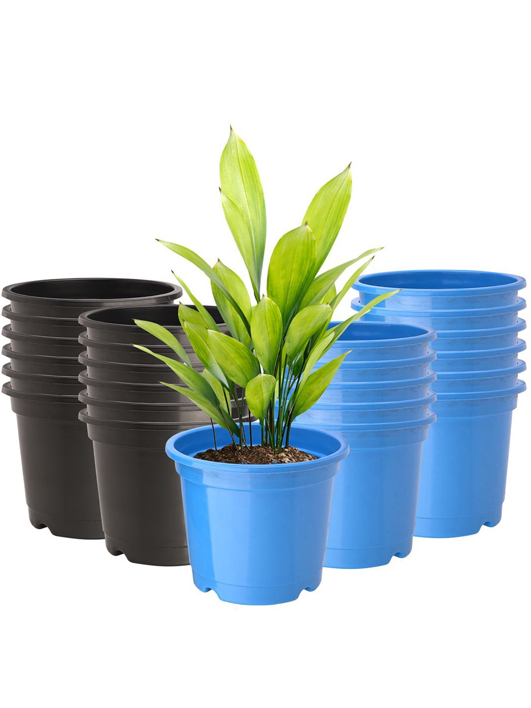 

Kuber Industries Blue & Black 24 Pieces Lightweight Planters