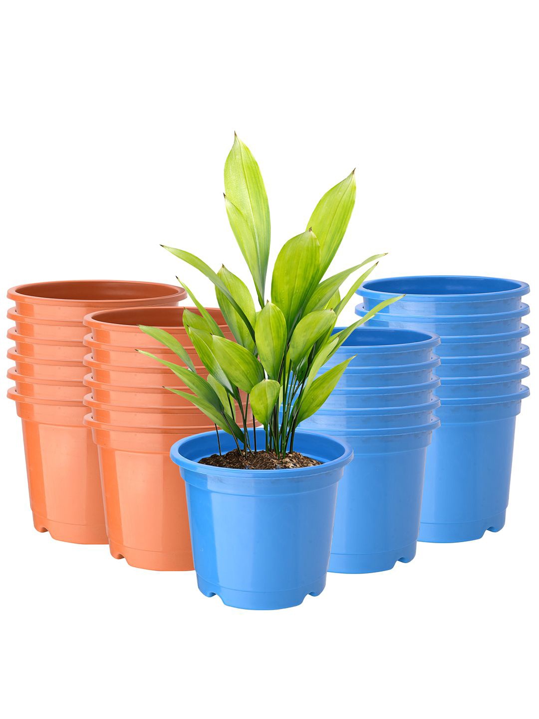 

Kuber Industries Orange & Blue 24 Pieces Lightweight Planters