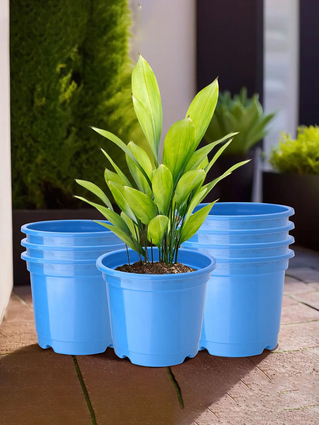 

Kuber Industries Blue 8 Pieces Round Planters