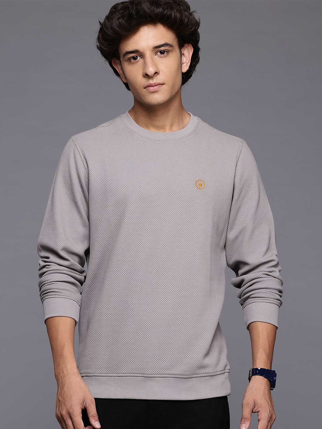 

Louis Philippe Round Neck Textured Sweatshirt, Grey