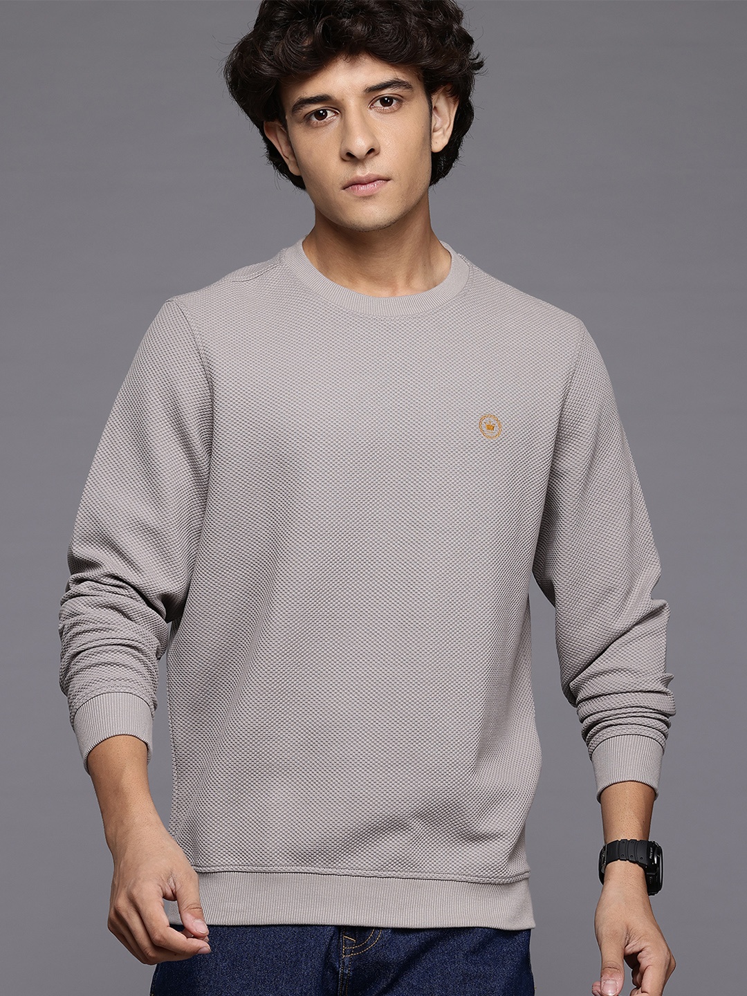 

Louis Philippe Self Design Sweatshirt, Grey