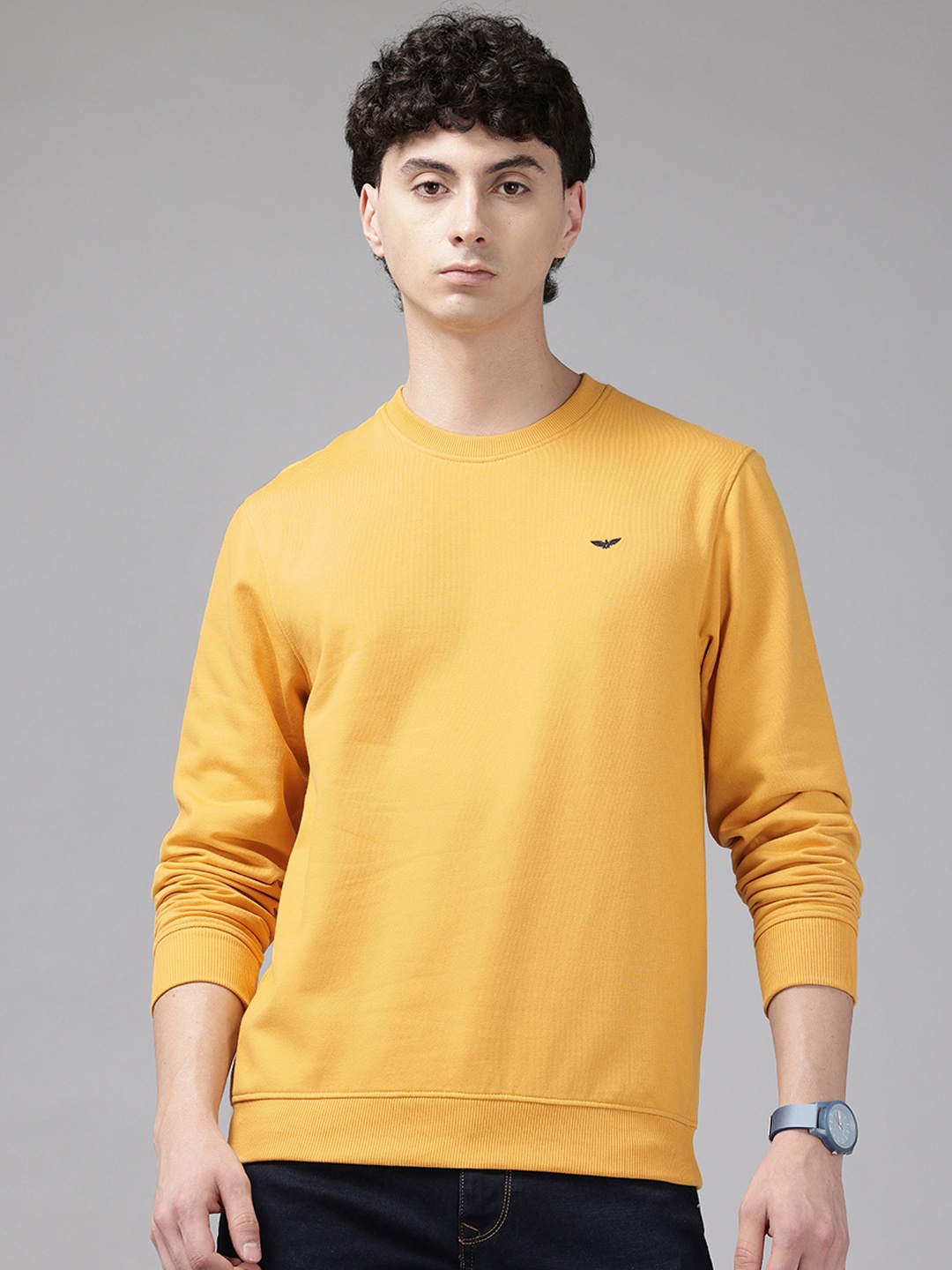 

Park Avenue Slim Fit Sweatshirt, Yellow
