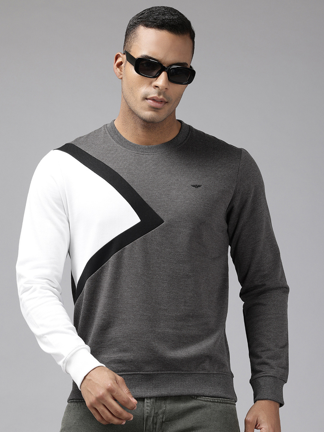 

Park Avenue Slim Fit Colourblocked Pullover Sweatshirt, Grey