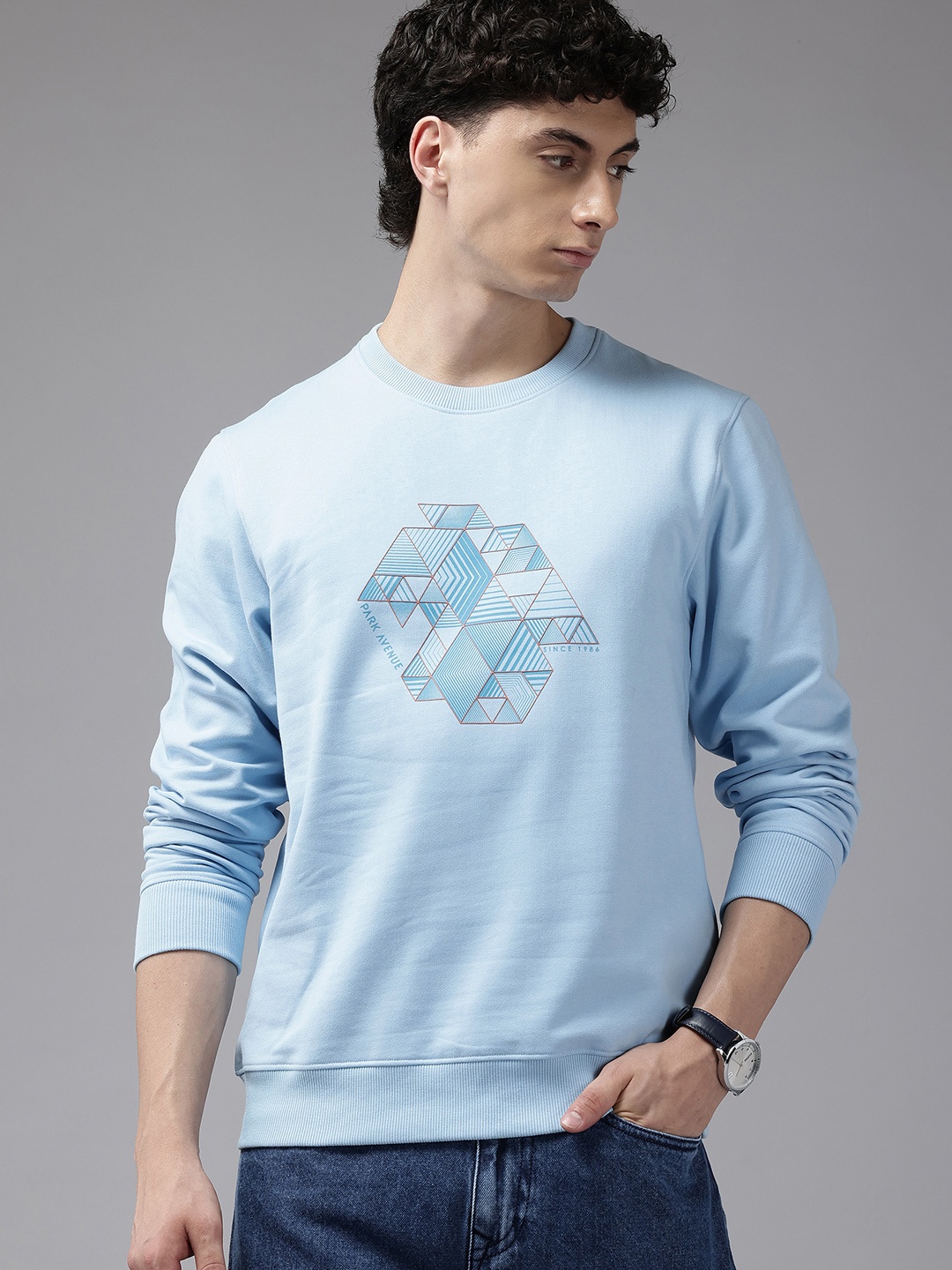 

Park Avenue Geometric Printed Sweatshirt, Blue