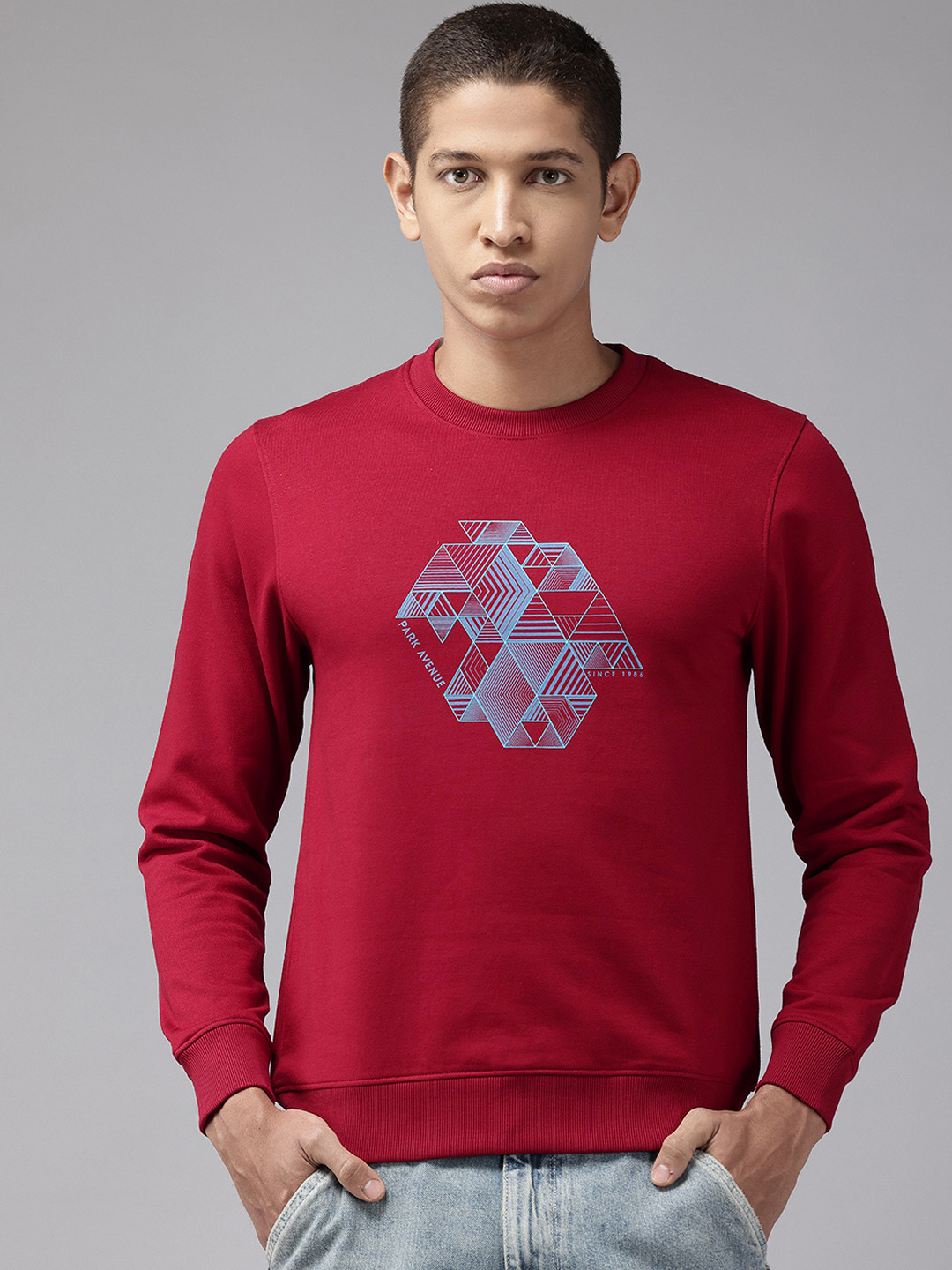 

Park Avenue Slim Fit Printed Sweatshirt, Red