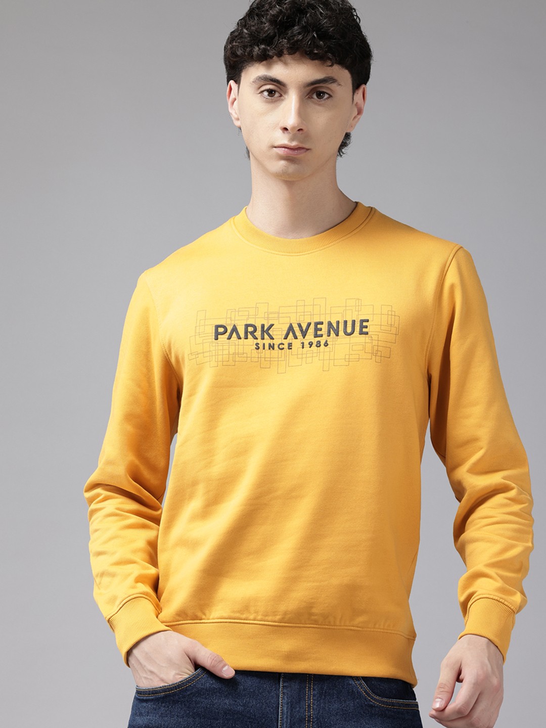 

Park Avenue Slim Fit Printed Sweatshirt, Mustard