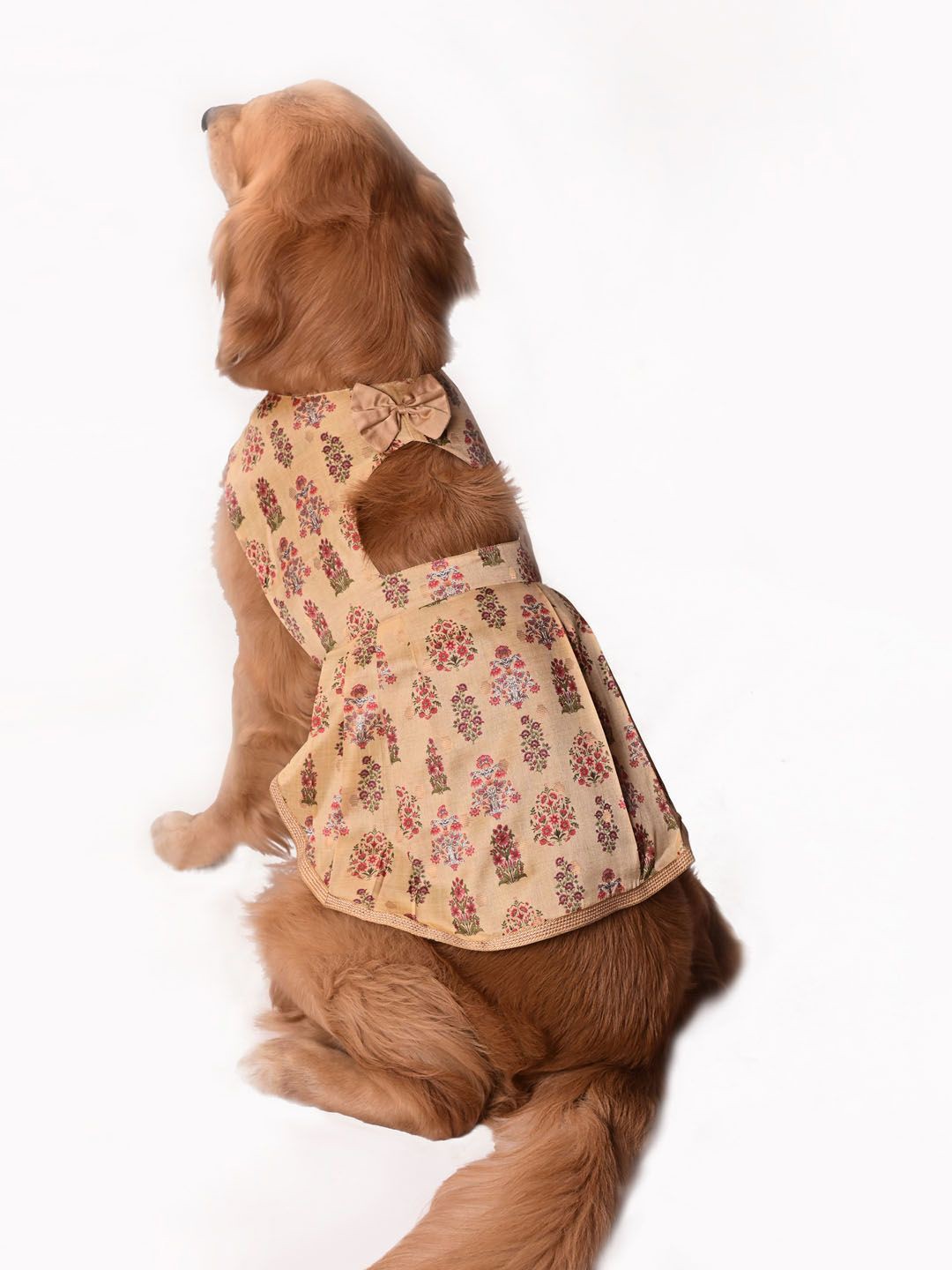 

VASTRAMAY Graphic Printed Dog Dress, Yellow