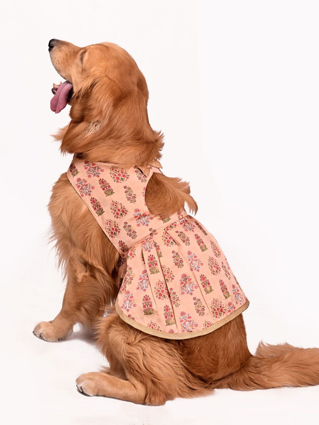 

VASTRAMAY Allover Graphic Printed Dog Dress, Peach
