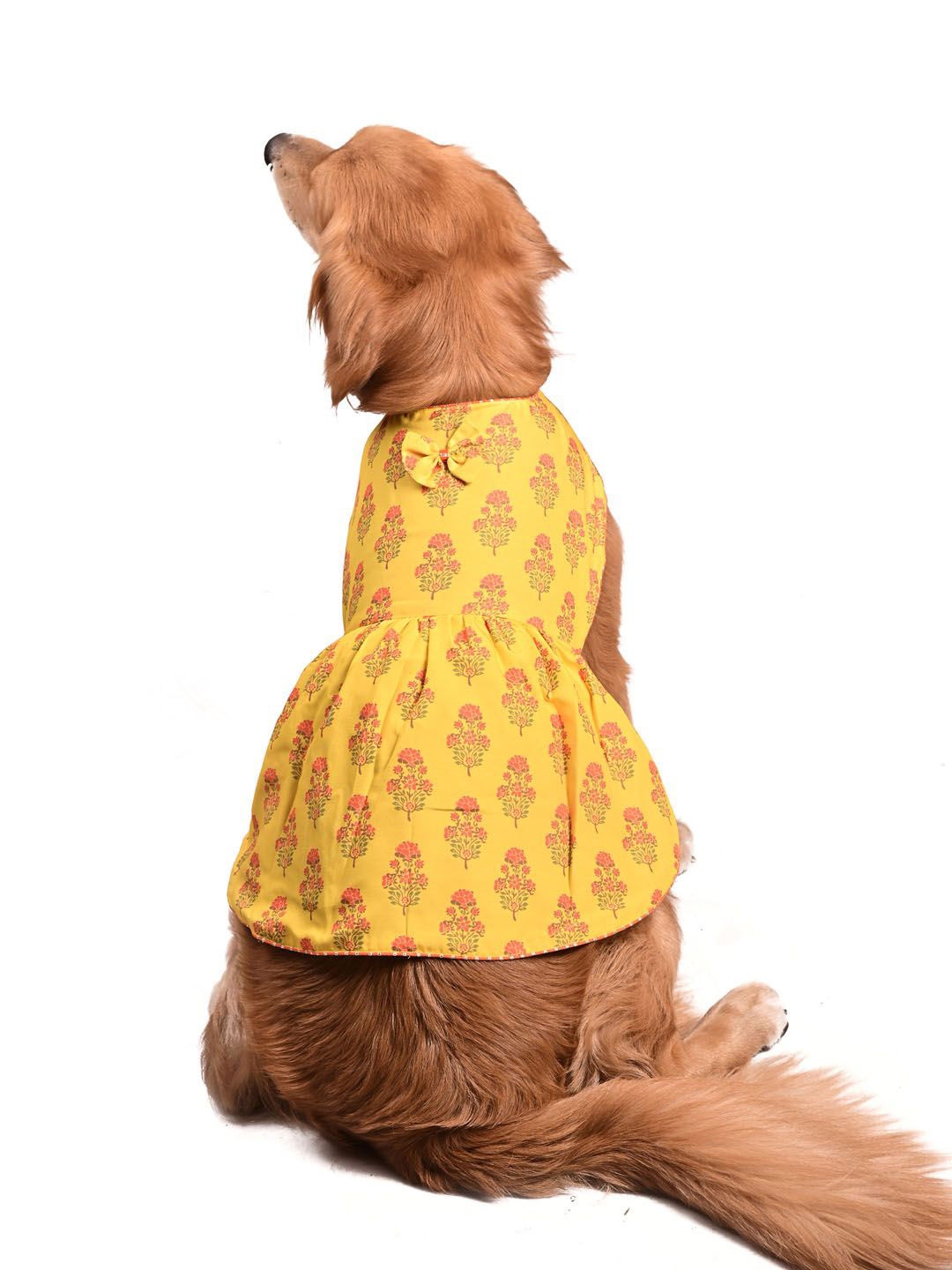 

VASTRAMAY Allover Graphic Printed Dog Dress, Yellow