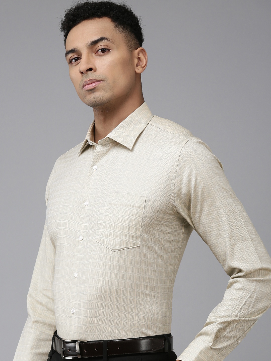 

Van Heusen Pure Cotton Slim Fit Opaque Self Checked Formal Shirt, Beige