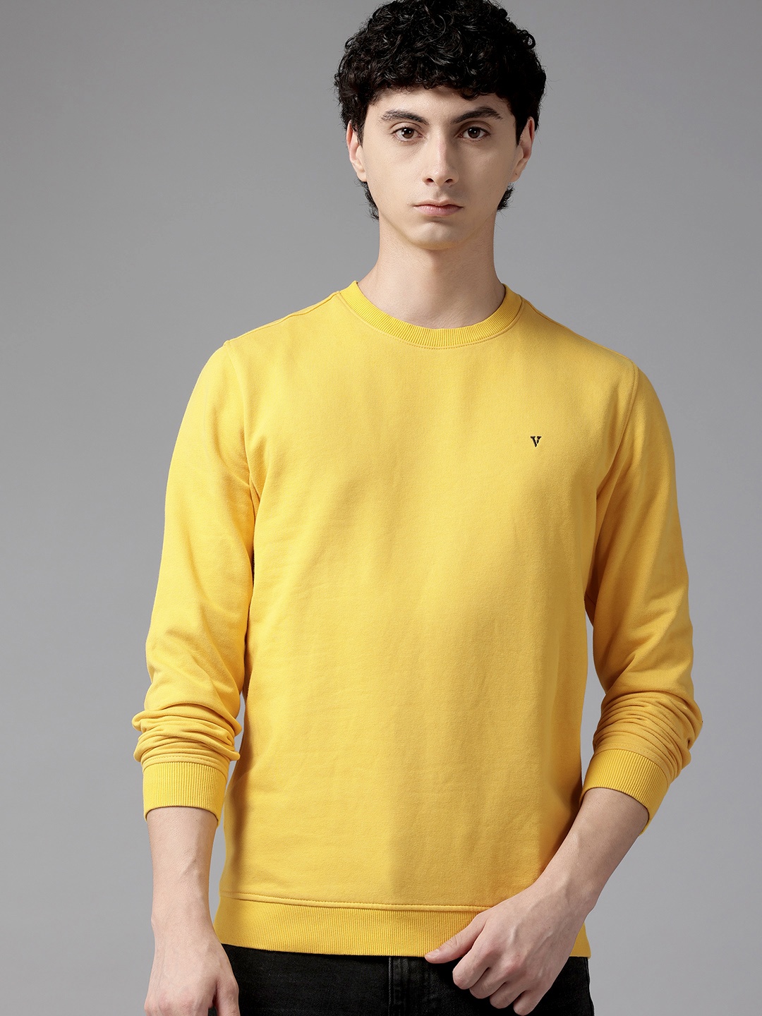 

Van Heusen Sport Sweatshirt, Yellow