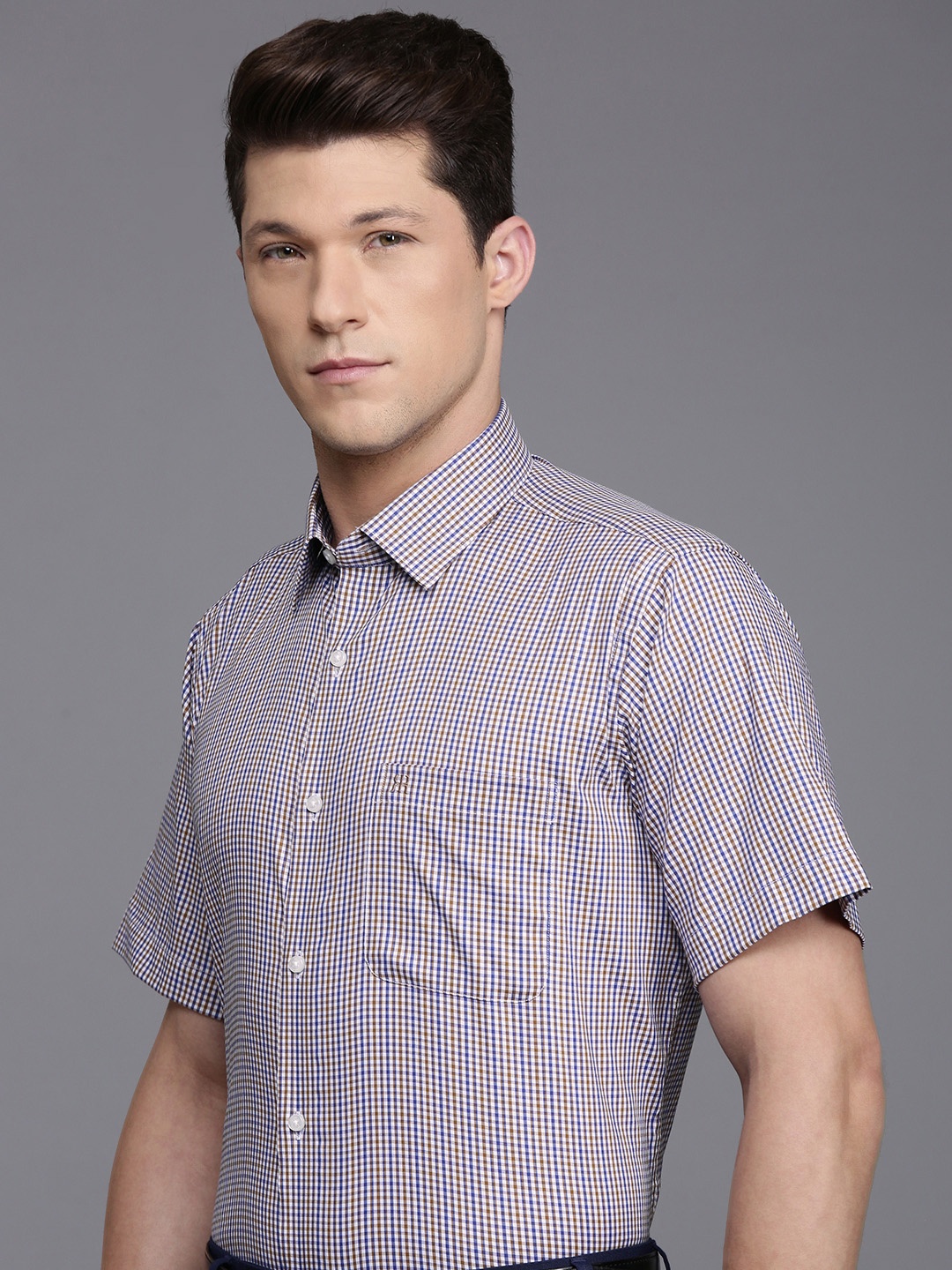 

Raymond Checked Formal Shirt, Brown