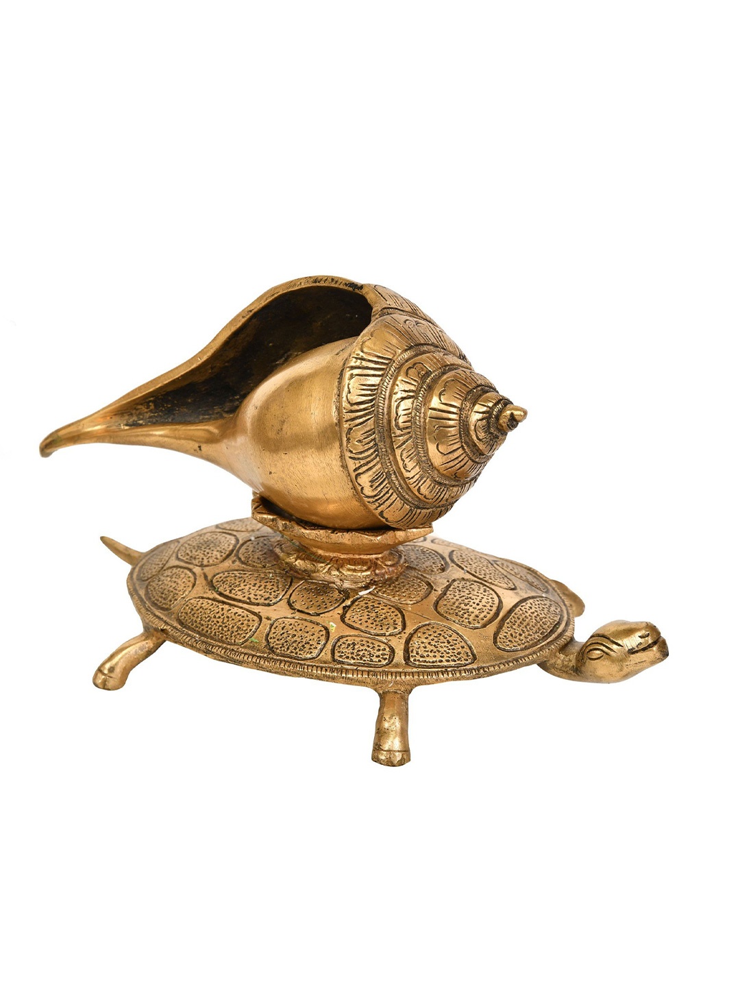 

Exotic India 7" Brass Tortoise Conch, Gold