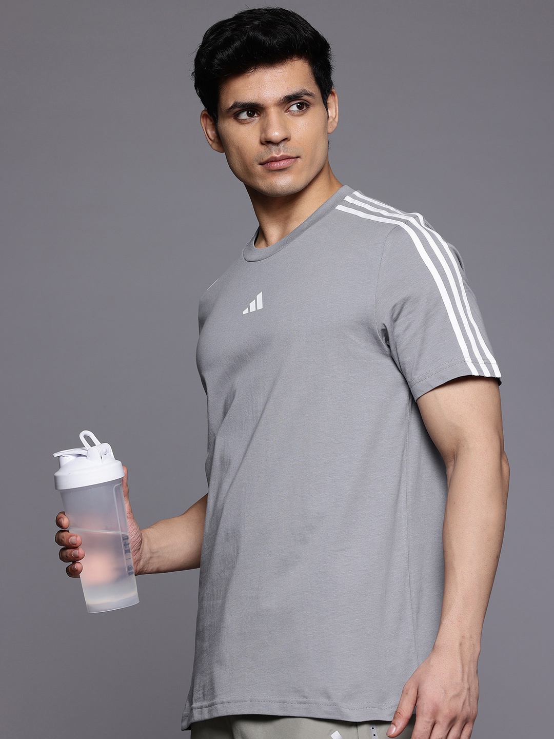 

ADIDAS Regular Fit Striped T-shirt, Grey