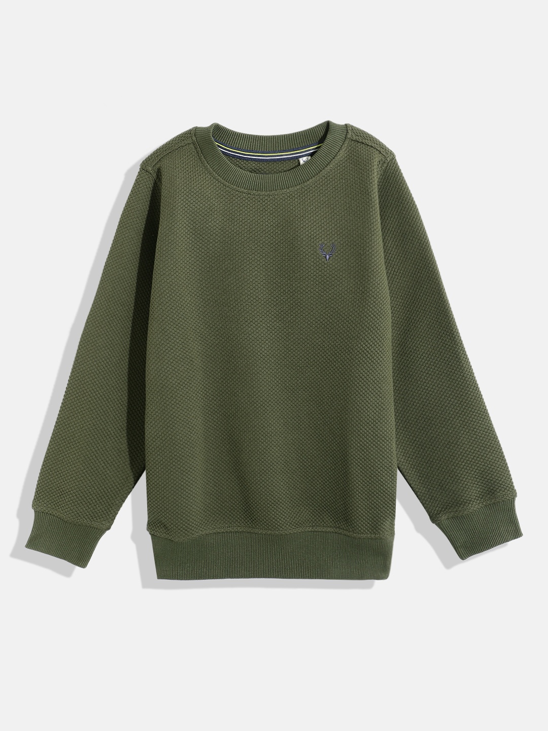 

Allen Solly Junior Boys Round Neck Sweatshirt, Olive