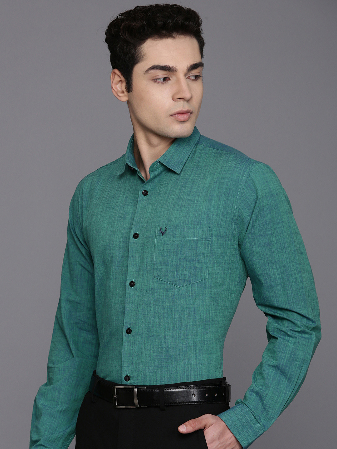 

Allen Solly Pure Cotton Classic fit Formal Shirt, Green