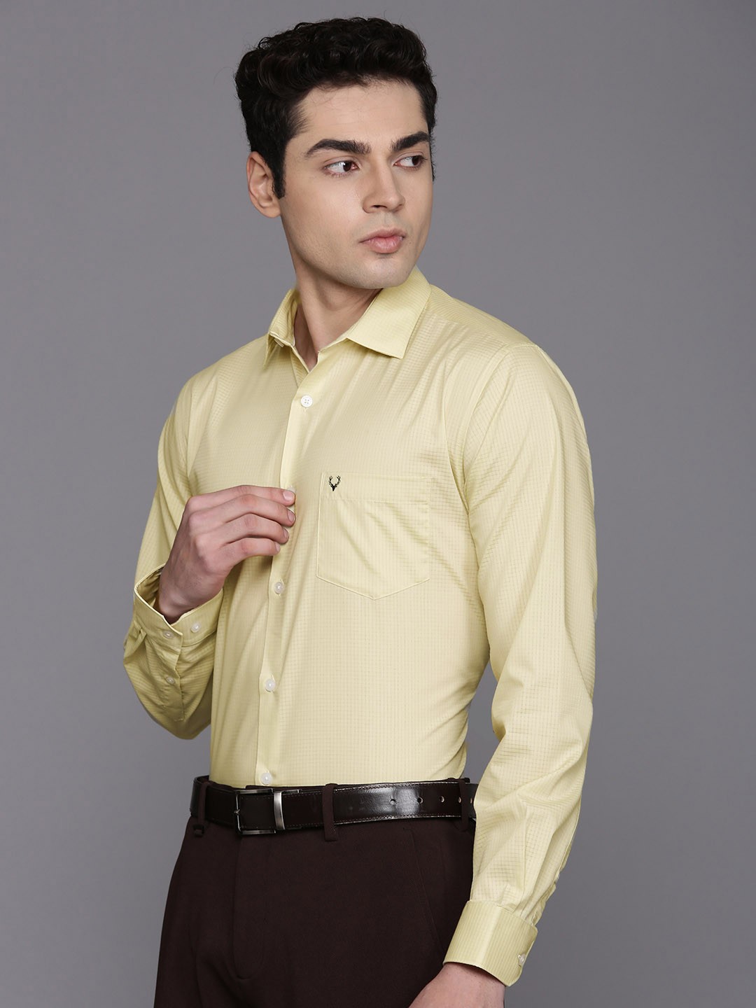 

Allen Solly Classic Self Checked Formal Shirt, Beige