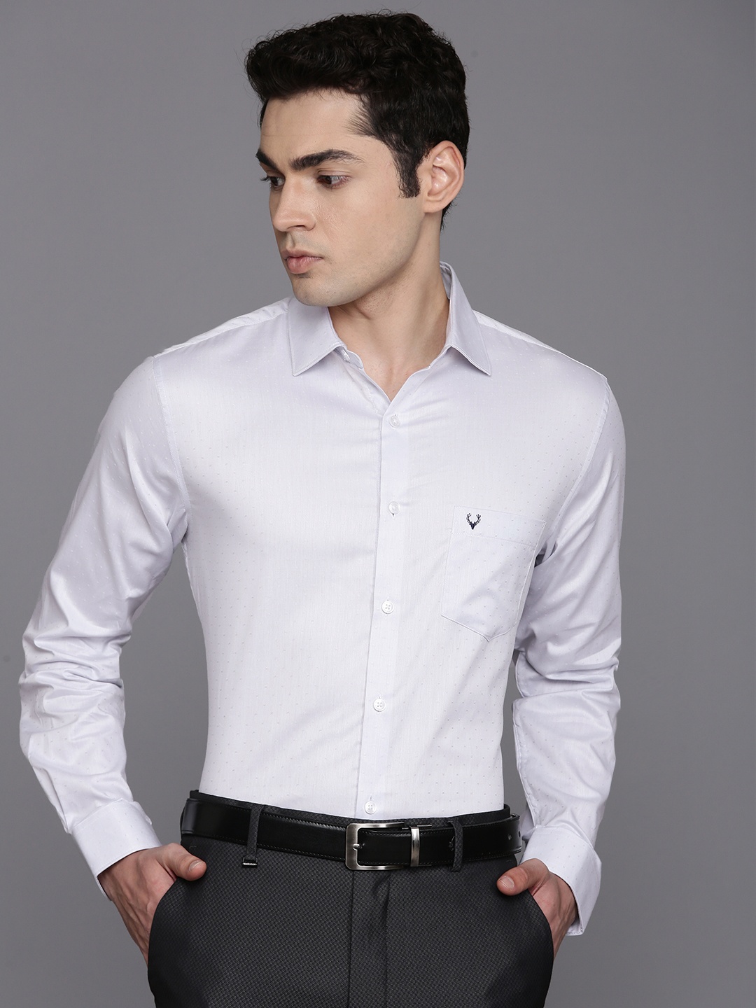 

Allen Solly Classic Self Design Textured Pure Cotton Formal Shirt, Grey
