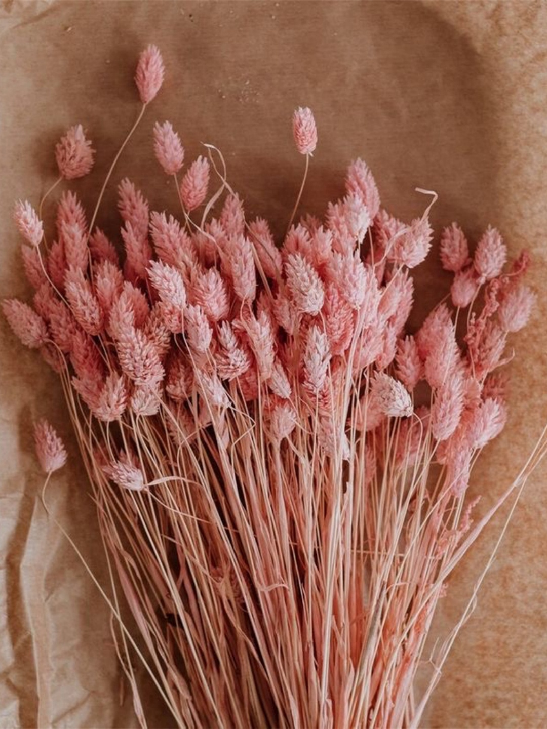 

ArteCasa Pink Phalaris Non Hanging Artificial Flower