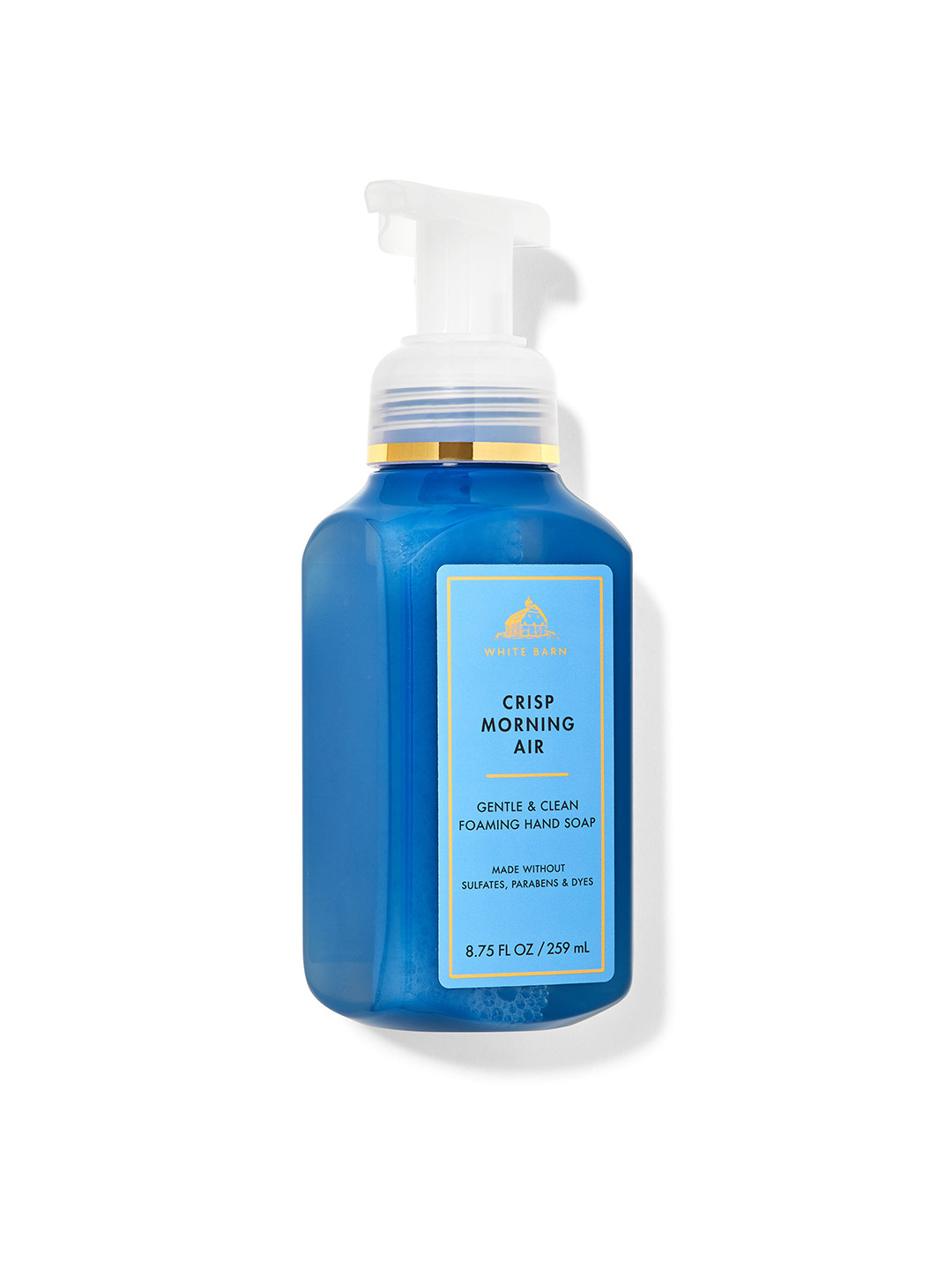 

Bath & Body Works Crisp Morning Air Gentle & Clean Foaming Hand Soap - 259 ml, Blue