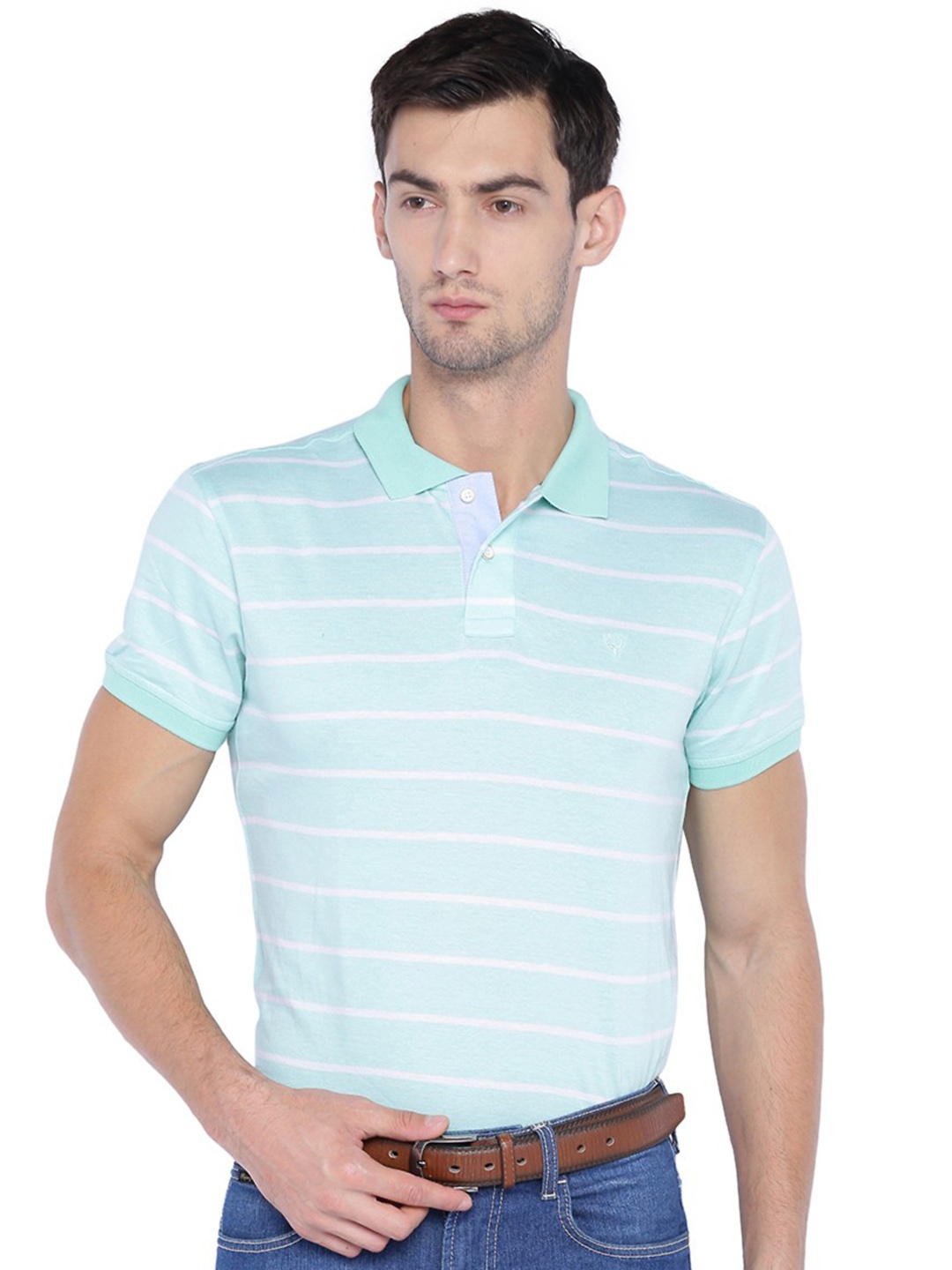 

Allen Solly Men Blue & White Striped Polo Collar T-shirt