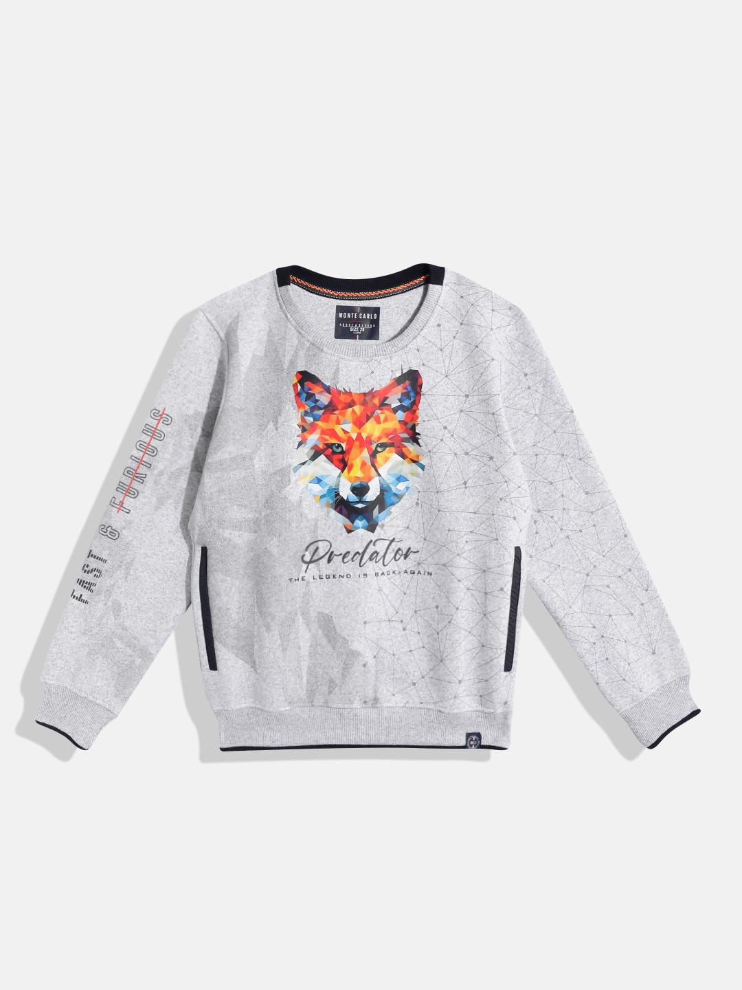 

Monte Carlo Boys Graphic Printed Sweatshirt, Grey melange